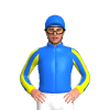 Jockey Silk