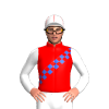 Jockey Silk