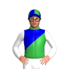 Jockey Silk