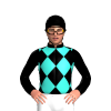 Jockey Silk