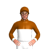Jockey Silk