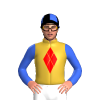 Jockey Silk