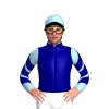 Jockey Silk