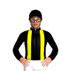 Jockey Silk