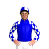 Jockey Silk