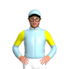 Jockey Silk