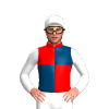Jockey Silk