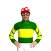 Jockey Silk