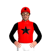 Jockey Silk