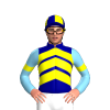 Jockey Silk