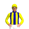 Jockey Silk