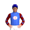 Jockey Silk