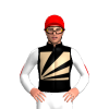 Jockey Silk