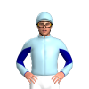 Jockey Silk