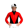 Jockey Silk