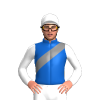 Jockey Silk
