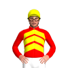 Jockey Silk