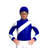 Jockey Silk