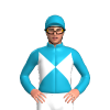 Jockey Silk