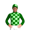 DARK GREEN, LIGHT GREEN CHECKS , QUARTERS CAP