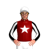 MAROON, WHITE STAR, WHITE SLEEVES, BLACK STRIPES, WHITE CAP