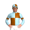 LIGHT BLUE, BROWN QUARTERS, LIGHT BLUE SLEEVES, BROWN ARMBANDS, QUARTERED CAP