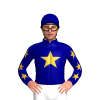 NAVY, GOLD STAR, NAVY SLEEVES, GOLD STARS