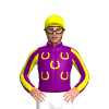 PURPLE, YELLOW HORSESHOES ,STRIPED SLEEVES ,YELLOW CAP