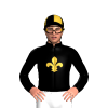 BLACK, GOLD FLEUR DE LYS, QUARTERS CAP 