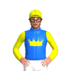 BLUE, YELLOW CROWN, SLEEVES, CAP,BLUE SEAMS