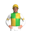 GREEN,GOLD QUARTERS ,WHITE SLEEVES,GOLD DOUBLE ARMBAND,GOLD CAP