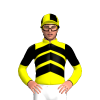 Yellow, Black Chevrons, Halved Sleeves, Quartered Cap