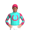 Turquoise, Cerise Horseshoe And Head, Cerise With Turquoise Diamonds Sleeves And Cap