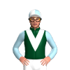 FOREST GREEN ,WHITE VEE,LIGHT BLUE SLEEVES, White and Light Blue quartered cap