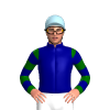 NAVY,DARK GREEN SLEEVES,NAVY HOOPS, Light blue cap