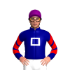NAVY, WHITE CADRE, NAVY SLEEVES, RED CHEVRONS, Purple cap