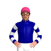NAVY,WHITE DIAMOND, HOOPS SLEEVES, Pink cap