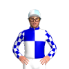 MEDIUM BLUE, WHITE QUARTERS, CHECKS SLEEVES, White and Light Blue quartered cap