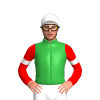 GREEN, WHITE HOOP, RED SLEEVES, WHITE ARMLET, White cap