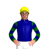 NAVY,DARK GREEN SLEEVES,NAVY HOOPS, Yellow cap