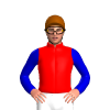 RED, MEDIUM BLUE SLEEVES, Brown cap