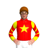 RED, YELLOW STAR, SLEEVES, RED CHEVRONS SLEEVES, Brown cap