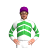 WHITE, GREEN CHEVRONS, CHEVRONS SLEEVES, Purple cap