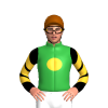 GREEN, SUNGLOW DISC, BLACK SLEEVES,SUNGLOW CHEVRONS, Brown cap