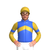 Royal Blue, Gold Chevron And Sleeves, Royal Blue Armbands, Gold Cap With Royal Blue Spot