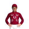 Burgundy, White Horseshoes