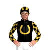 Black, Old Gold Horseshoe, Checked Sleeves, Striped Cap