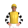 Gold, Black And White Hooped Sleeves