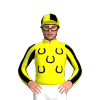 Yellow, Black Horseshoes, Striped Sleeves, Quartered Cap