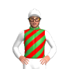Bottle Green, Red Diagonal Stripes, White TR, Sleeves And Cap With Pom Pom